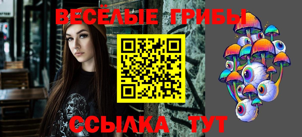 Галлюциногенные грибы Cubensis  Вход с VPN  Лиски 