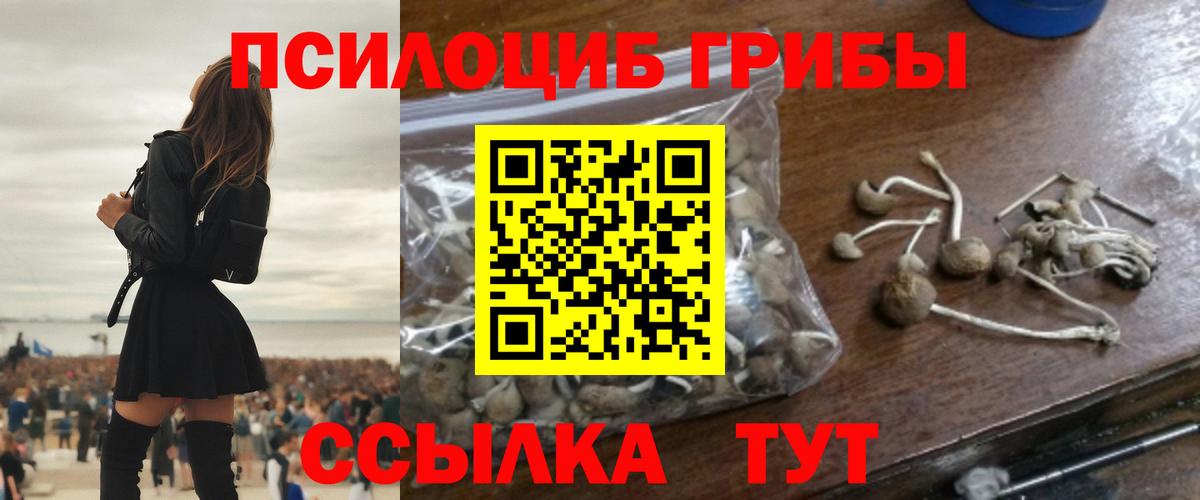 Галлюциногенные грибы MAGIC MUSHROOMS Лиски